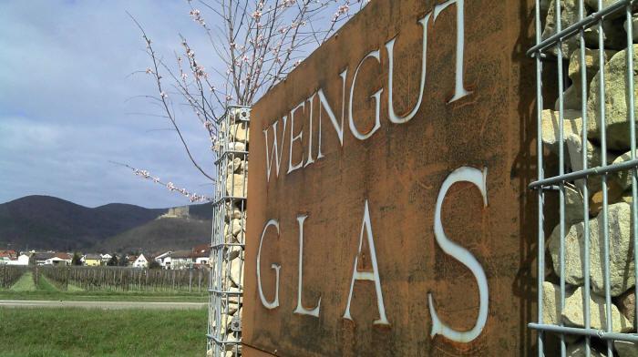 Gaestehaus Weingut Glas Neustadt an der Weinstraße Eksteriør billede