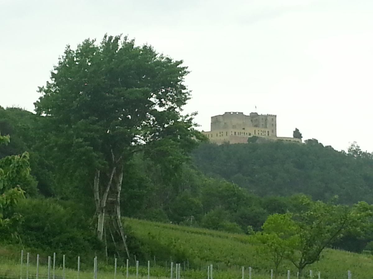 Gaestehaus Weingut Glas Neustadt an der Weinstraße Eksteriør billede